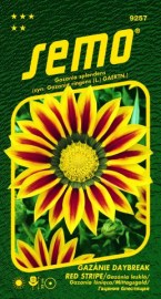 Gazánie (Gazania splendens) Daybreak Red